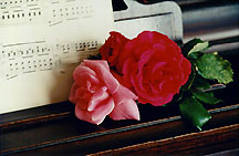 rosepianomusic2