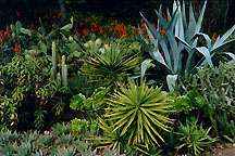 succactigoodcomp
