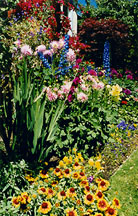 ttgarden2