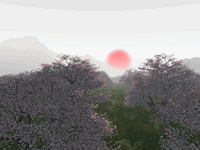 Cherry Orchard