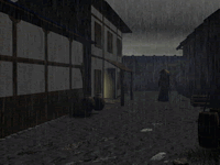 Wandering in the Rain