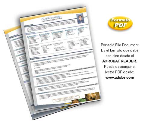 Descargar el curriculum David R. Click derecho y guardar objetivo como...