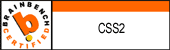 CSS2