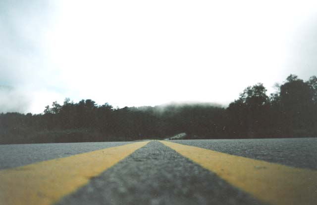 La niebla es un gran problema en rutas y autopistas.