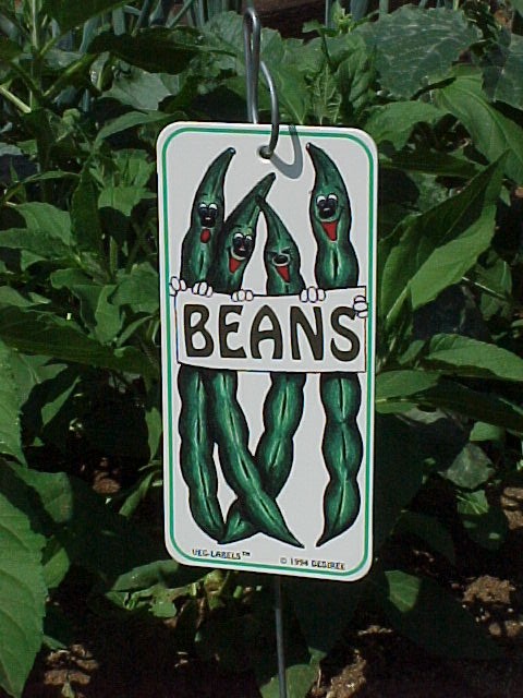 Green Bean Marker