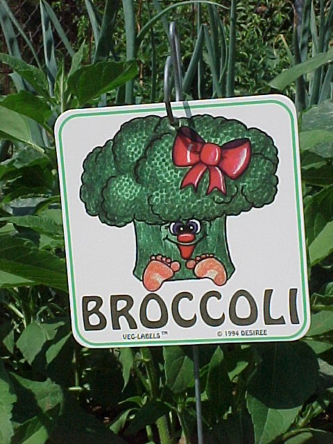 Broccoli Garden Marker