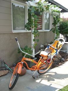 Moms Bike