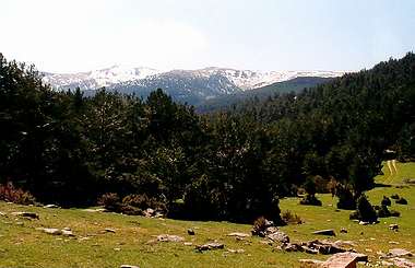 Collado de Sobralejos
