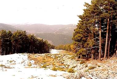 Cortafuegos