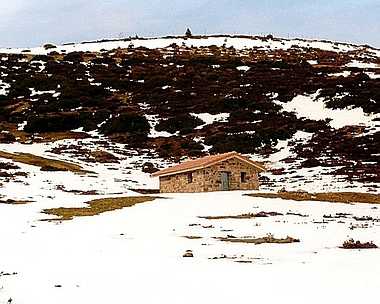 Refugio