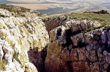 La Rendija