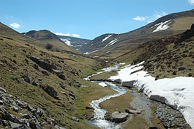 Prados de Brieva
