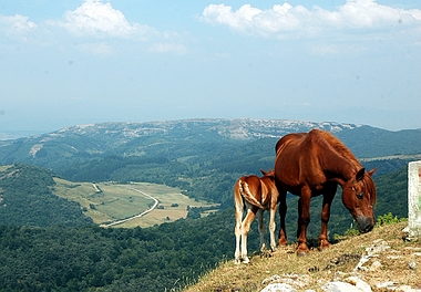 Ganalto