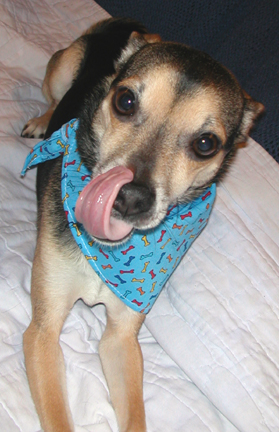 I can't believe they took my picture this way.
