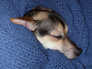 Zzzzzzzzzzzzzzzzzzzzzzz....
