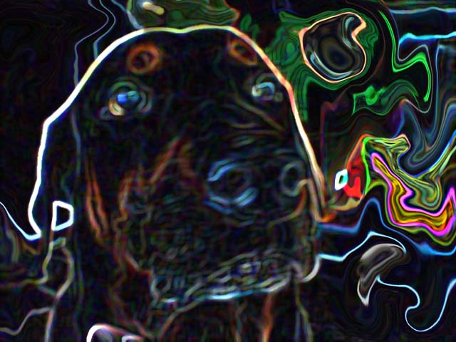 alan
