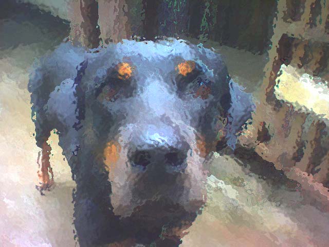 keli