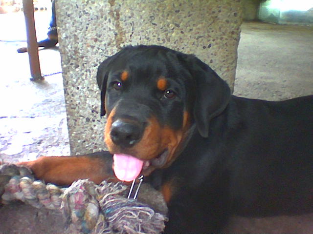 sam