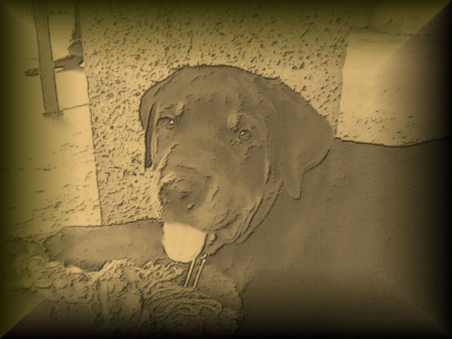 sam