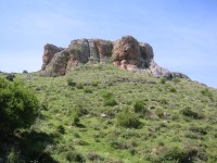 dishon04.jpg