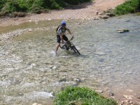 dishon08.jpg