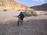 113-1347_img.jpg