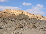 113-1348_img.jpg