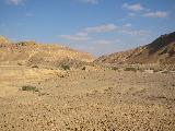 113-1349_img.jpg