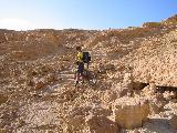 113-1353_img.jpg