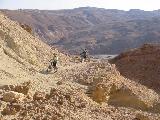 113-1355_img.jpg