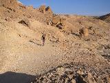113-1356_img.jpg