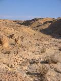 113-1357_img.jpg