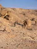 113-1358_img.jpg
