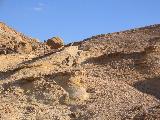 113-1363_img.jpg