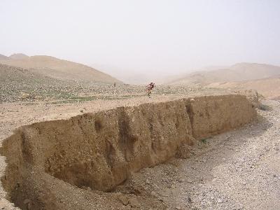 red_camel31s.jpg