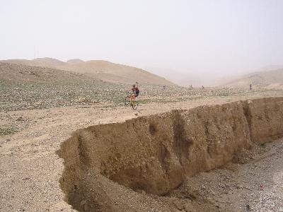 red_camel32s.jpg
