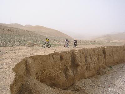 red_camel34s.jpg