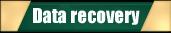 Data Recovery