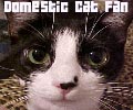 Domestic Can FL (code by me! My cat, Echo!)