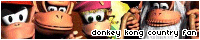 Donkey Kong Country FL
