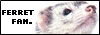 Ferret FL