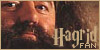 Hagrid FL