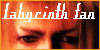 Labyrinth FL
