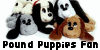 Pound Puppies FL