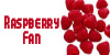 Raspberry FL