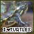 Turtle FL