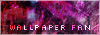 Wallpaper FL