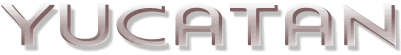 sigloxxi1.gif (6439 bytes)