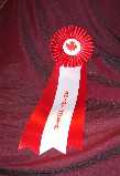 Award from the masquerade