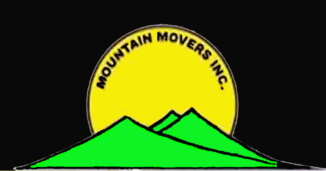 COMPANY'S LOGO